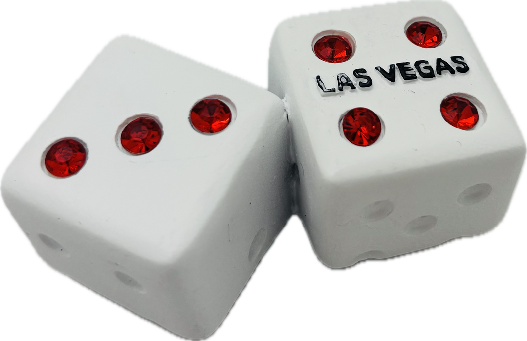 Las Vegas Dice Magnet