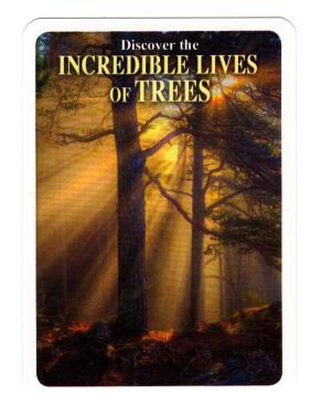 Discover Incrediable Lives of Trees