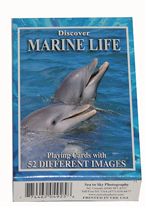 Discover Marine Life