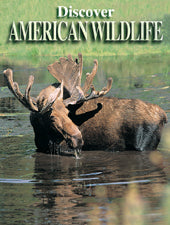 Discover American Wildlife