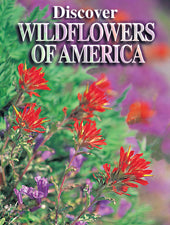 Discover American Wildflowers