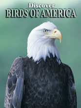 Discover Birds of America