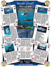 Discover Shark Smart