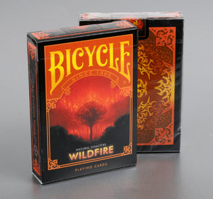 Bicycle-Wildfire (Natural Diasters)