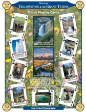 Discover Yellowstone  & The Grand Tetons